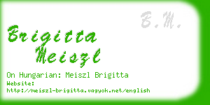 brigitta meiszl business card